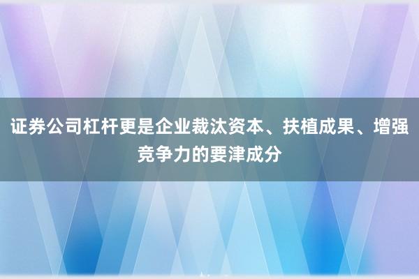 证券公司杠杆更是企业裁汰资本、扶植成果、增强竞争力的要津成分