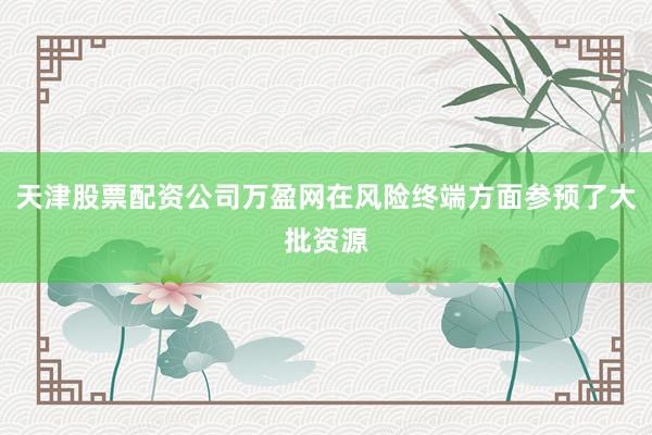 天津股票配资公司万盈网在风险终端方面参预了大批资源